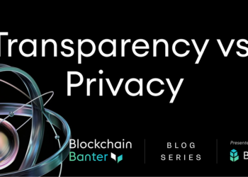 Transparency vs Privacy