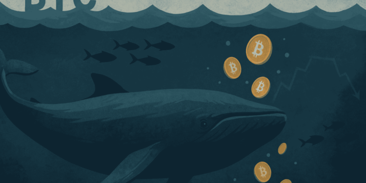Bitcoin whales buy into weakness as retail selling accelerates