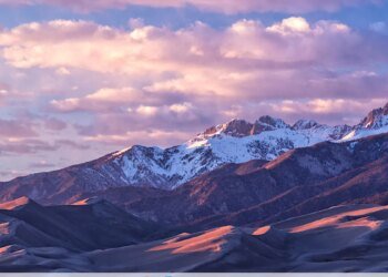 Zorin OS vs. AnduinOS: How to pick the right Windows-like Linux distro for you