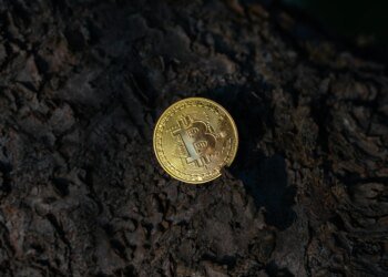 Bitcoin Should Be Flying—Instead, Quantum Keeps It Grounded