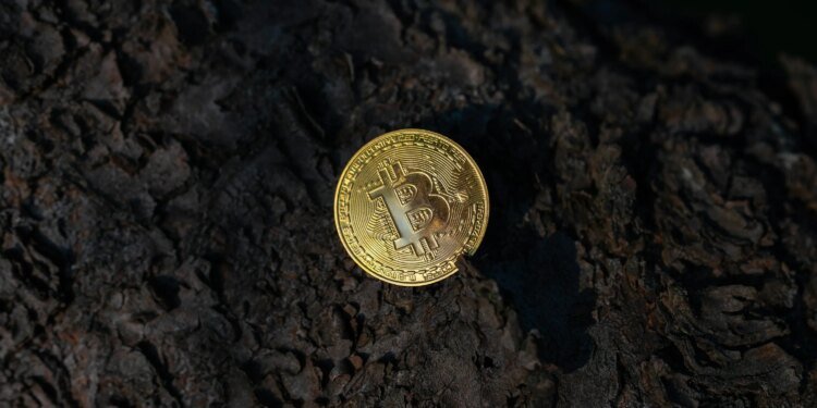 Bitcoin Should Be Flying—Instead, Quantum Keeps It Grounded